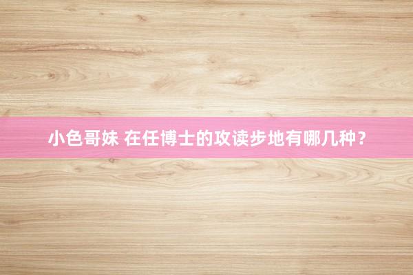 小色哥妹 在任博士的攻读步地有哪几种？