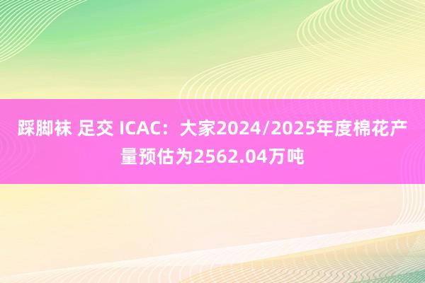 踩脚袜 足交 ICAC：大家2024/2025年度棉花产量预估为2562.04万吨