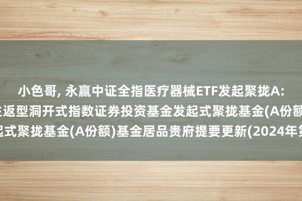 小色哥, 永赢中证全指医疗器械ETF发起聚拢A: 永赢中证全指医疗器械往返型洞开式指数证券投资基金发起式聚拢基金(A份额)基金居品贵府提要更新(2024年第2号)
