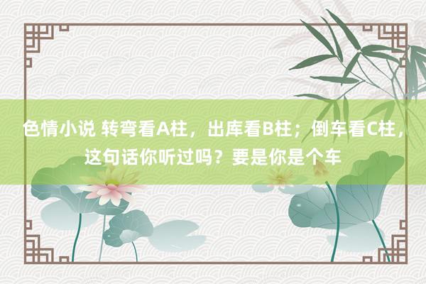 色情小说 转弯看A柱,出库看B柱;倒车看C柱,这句话你听过吗?要是你是个车