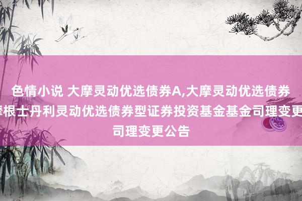 色情小说 大摩灵动优选债券A,大摩灵动优选债券C: 摩根士丹利灵动优选债券型证券投资基金基金司理变更公告