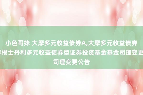小色哥妹 大摩多元收益债券A,大摩多元收益债券C: 摩根士丹利多元收益债券型证券投资基金基金司理变更公告