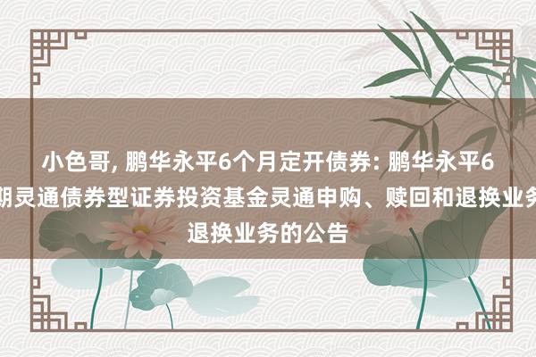 小色哥, 鹏华永平6个月定开债券: 鹏华永平6个月依期灵通债券型证券投资基金灵通申购、赎回和退换业务的公告