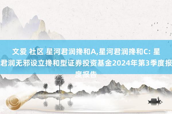 文爱 社区 星河君润搀和A,星河君润搀和C: 星河君润无邪设立搀和型证券投资基金2024年第3季度报告