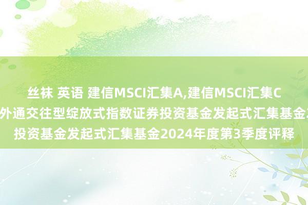 丝袜 英语 建信MSCI汇集A,建信MSCI汇集C: 建信MSCI中国A股国外通交往型绽放式指数证券投资基金发起式汇集基金2024年度第3季度评释