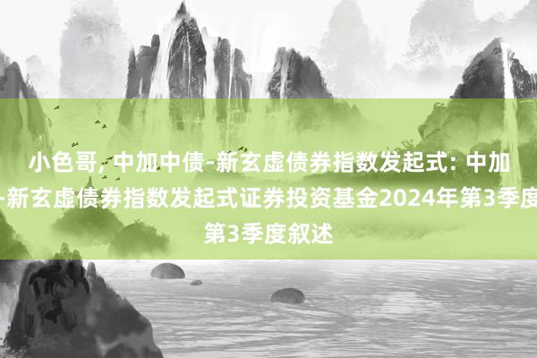 小色哥, 中加中债-新玄虚债券指数发起式: 中加中债-新玄虚债券指数发起式证券投资基金2024年第3季度叙述
