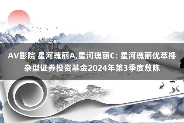 AV影院 星河瑰丽A,星河瑰丽C: 星河瑰丽优萃搀杂型证券投资基金2024年第3季度敷陈