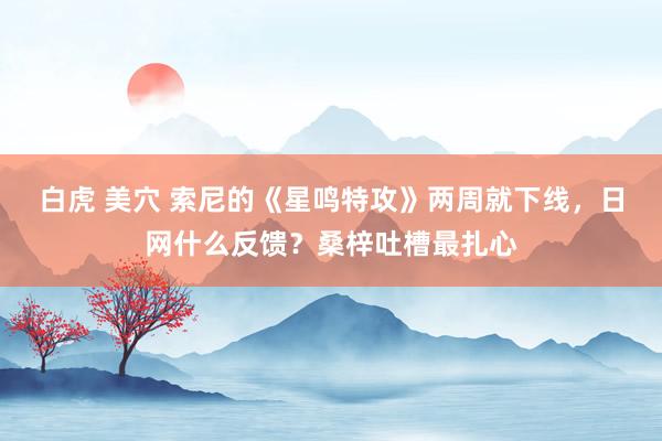 白虎 美穴 索尼的《星鸣特攻》两周就下线，日网什么反馈？桑梓吐槽最扎心