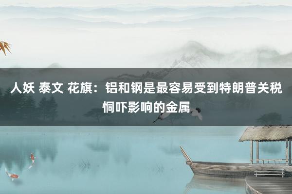 人妖 泰文 花旗：铝和钢是最容易受到特朗普关税恫吓影响的金属