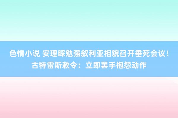 色情小说 安理睬勉强叙利亚相貌召开垂死会议！古特雷斯敕令：立即罢手抱怨动作