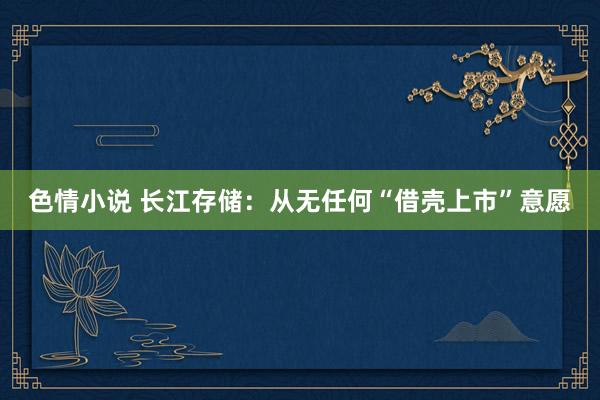 色情小说 长江存储：从无任何“借壳上市”意愿