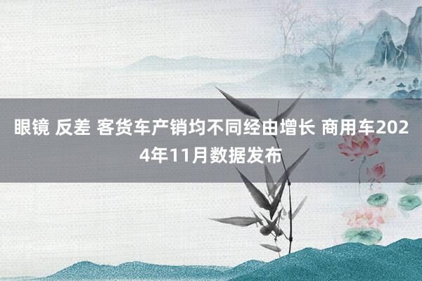 眼镜 反差 客货车产销均不同经由增长 商用车2024年11月数据发布