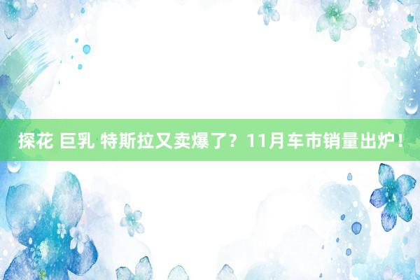 探花 巨乳 特斯拉又卖爆了？11月车市销量出炉！