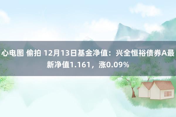 心电图 偷拍 12月13日基金净值：兴全恒裕债券A最新净值1.161，涨0.09%