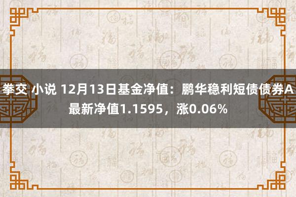 拳交 小说 12月13日基金净值：鹏华稳利短债债券A最新净值1.1595，涨0.06%