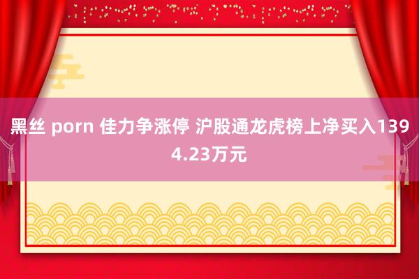 黑丝 porn 佳力争涨停 沪股通龙虎榜上净买入1394.23万元