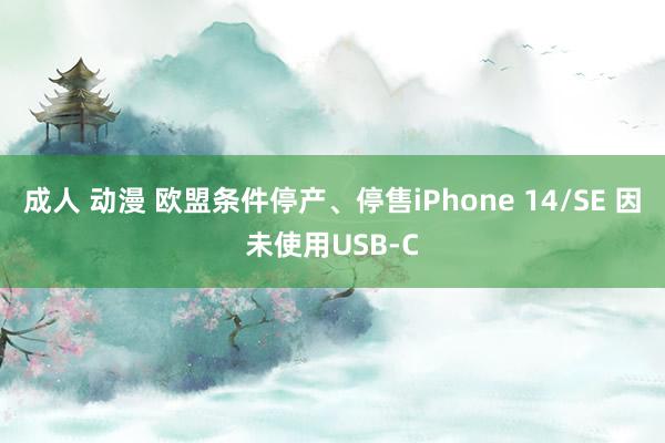 成人 动漫 欧盟条件停产、停售iPhone 14/SE 因未使用USB-C