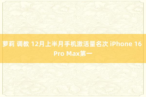萝莉 调教 12月上半月手机激活量名次 iPhone 16 Pro Max第一