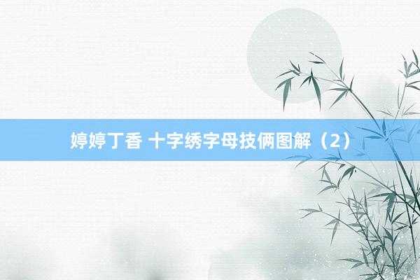 婷婷丁香 十字绣字母技俩图解（2）