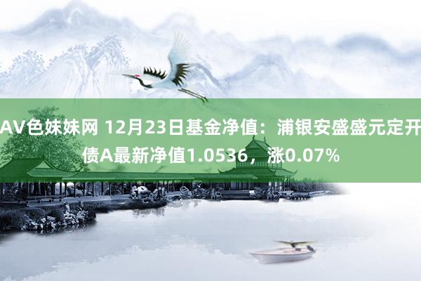 AV色妹妹网 12月23日基金净值：浦银安盛盛元定开债A最新净值1.0536，涨0.07%