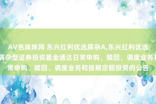 AV色妹妹网 东兴红利优选羼杂A,东兴红利优选羼杂C: 东兴红利优选羼杂型证券投资基金通达日常申购、赎回、调度业务和按期定额投资的公告