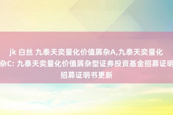 jk 白丝 九泰天奕量化价值羼杂A,九泰天奕量化价值羼杂C: 九泰天奕量化价值羼杂型证券投资基金招募证明书更新