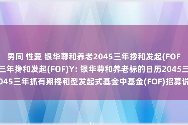 男同 性愛 银华尊和养老2045三年搀和发起(FOF)A,银华尊和养老2045三年搀和发起(FOF)Y: 银华尊和养老标的日历2045三年抓有期搀和型发起式基金中基金(FOF)招募说明书更新(2024年第2号)
