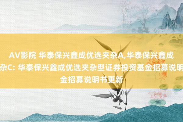 AV影院 华泰保兴鑫成优选夹杂A,华泰保兴鑫成优选夹杂C: 华泰保兴鑫成优选夹杂型证券投资基金招募说明书更新
