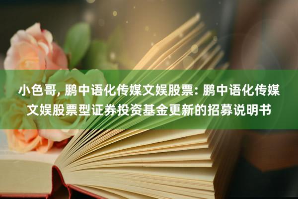 小色哥, 鹏中语化传媒文娱股票: 鹏中语化传媒文娱股票型证券投资基金更新的招募说明书