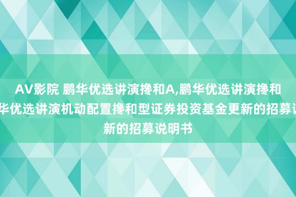 AV影院 鹏华优选讲演搀和A,鹏华优选讲演搀和C: 鹏华优选讲演机动配置搀和型证券投资基金更新的招募说明书