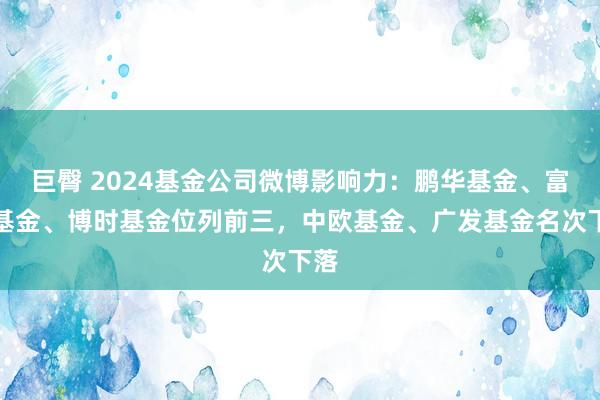 巨臀 2024基金公司微博影响力：鹏华基金、富国基金、博时基金位列前三，中欧基金、广发基金名次下落