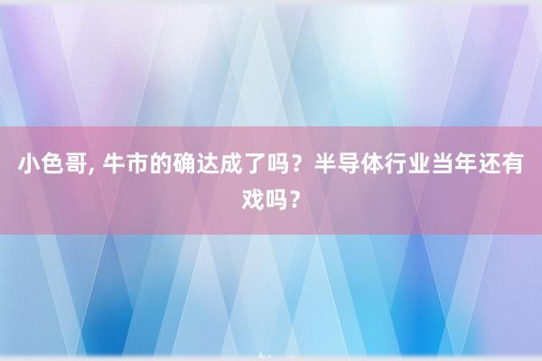 小色哥， 牛市的确达成了吗？半导体行业当年还有戏吗？