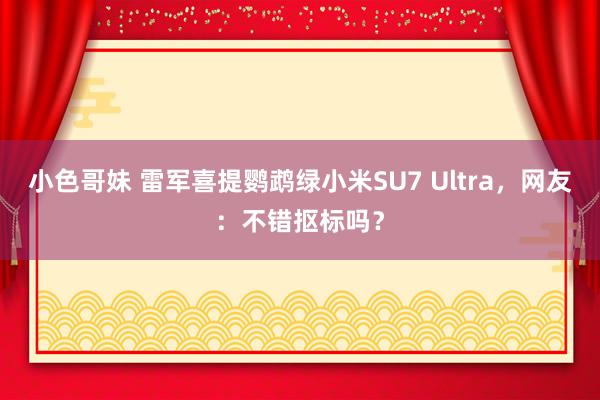 小色哥妹 雷军喜提鹦鹉绿小米SU7 Ultra，网友：不错抠标吗？