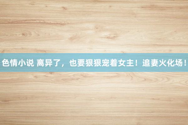 色情小说 离异了，也要狠狠宠着女主！追妻火化场！
