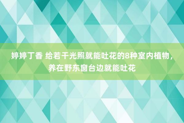 婷婷丁香 给若干光照就能吐花的8种室内植物，养在野东窗台边就能吐花