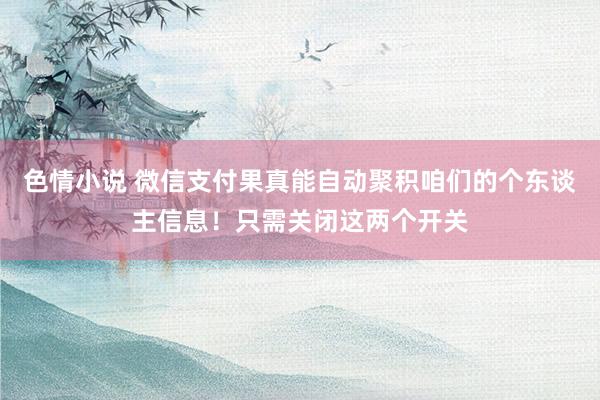 色情小说 微信支付果真能自动聚积咱们的个东谈主信息！只需关闭这两个开关