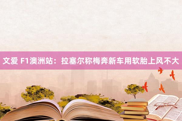 文爱 F1澳洲站：拉塞尔称梅奔新车用软胎上风不大