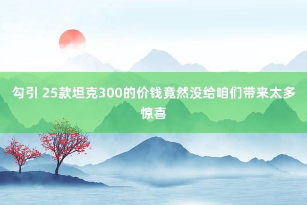 勾引 25款坦克300的价钱竟然没给咱们带来太多惊喜