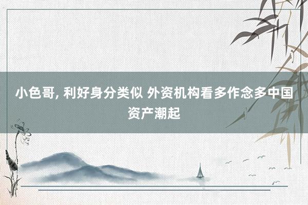 小色哥， 利好身分类似 外资机构看多作念多中国资产潮起