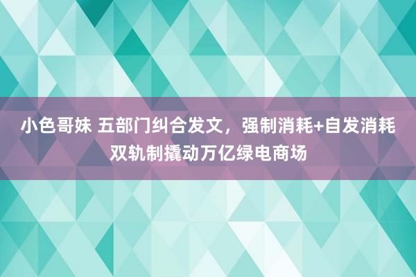 小色哥妹 五部门纠合发文，强制消耗+自发消耗双轨制撬动万亿绿电商场