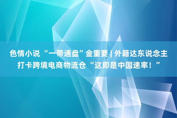 色情小说 “一带通盘”金重要 | 外籍达东说念主打卡跨境电商物流仓 “这即是中国速率！”