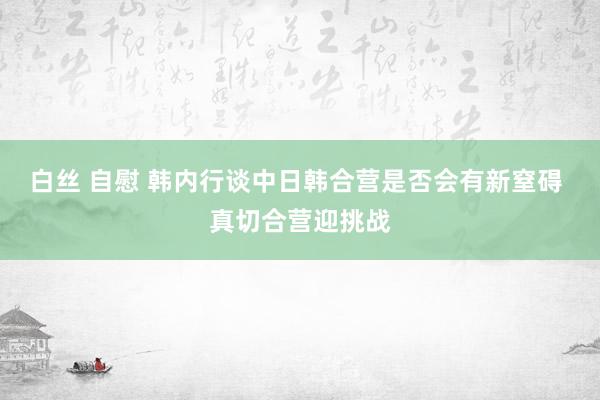 白丝 自慰 韩内行谈中日韩合营是否会有新窒碍 真切合营迎挑战