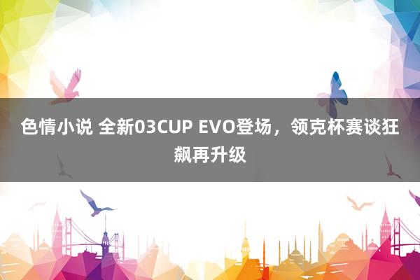 色情小说 全新03CUP EVO登场，领克杯赛谈狂飙再升级