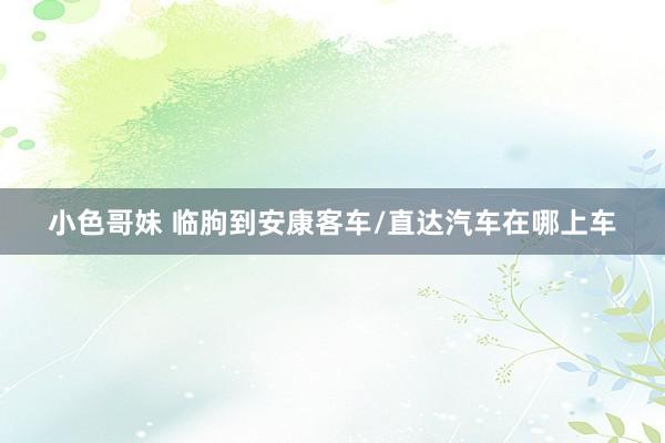 小色哥妹 临朐到安康客车/直达汽车在哪上车