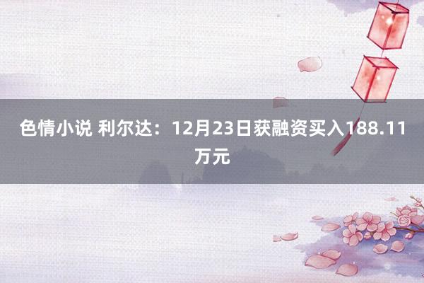 色情小说 利尔达：12月23日获融资买入188.11万元