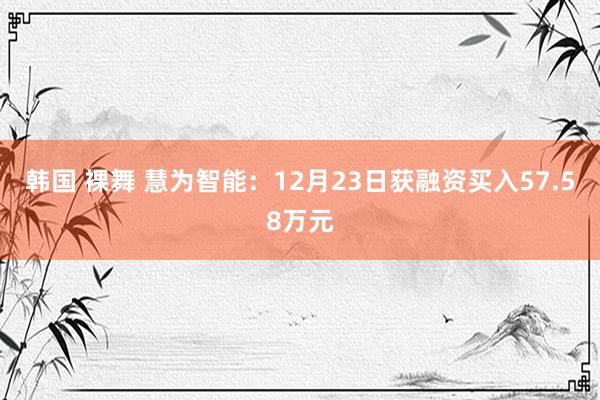 韩国 裸舞 慧为智能：12月23日获融资买入57.58万元