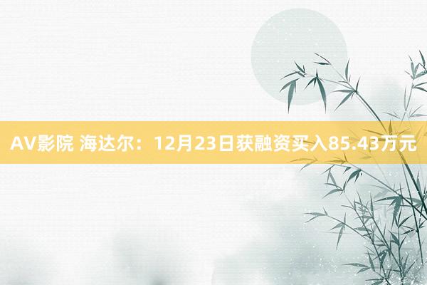 AV影院 海达尔：12月23日获融资买入85.43万元