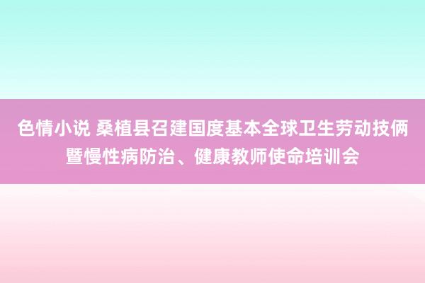 色情小说 桑植县召建国度基本全球卫生劳动技俩暨慢性病防治、健康教师使命培训会