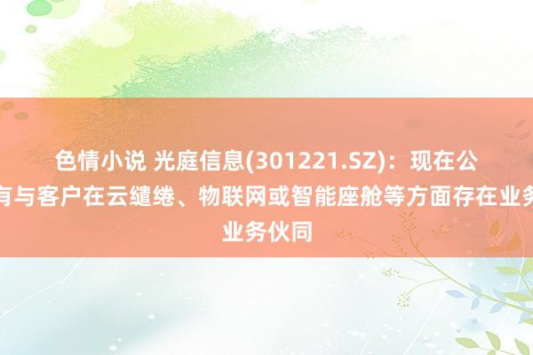 色情小说 光庭信息(301221.SZ)：现在公司未有与客户在云缱绻、物联网或智能座舱等方面存在业务伙同