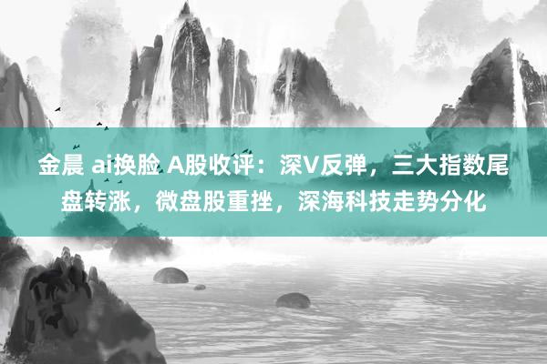 金晨 ai换脸 A股收评：深V反弹，三大指数尾盘转涨，微盘股重挫，深海科技走势分化